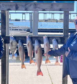 Aransas Pass: Reel it in, big catch!